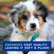 DOUXO® SPA Ultra-Safe Puppy Shampoo 250ml