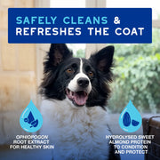 DOUXO® SPA Quick Refresh Leave-on Mousse Dog 150ml