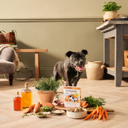Forthglade Complete Grain Free Puppy Chicken & Liver Wet Dog Food