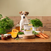 Forthglade Complete Grain Free Adult Chicken & Butternut Squash Wet Dog Food