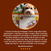 Forthglade Complete Grain Free Senior Turkey & Butternut Squash Wet Dog Food