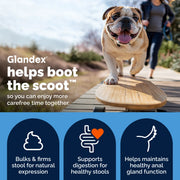 Vetnique Glandex® Vegan Anal Gland Support Powder for Dogs - Vegan Salmon Flavour