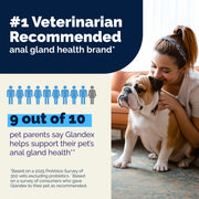 Vetnique Glandex® Vegan Anal Gland Support Powder for Dogs - Vegan Salmon Flavour