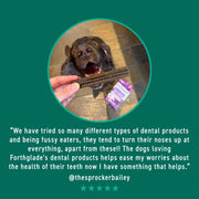 Forthglade Fresh Breath Dental Sticks for Dogs