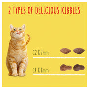Go-Cat Chicken & Duck Dry Cat Food