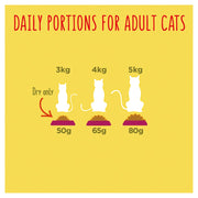Go-Cat Chicken & Duck Dry Cat Food