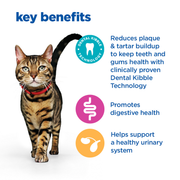 Hill's Vet Essentials Multi-Benefit + Dental Adult 1+ Dry Cat Food
