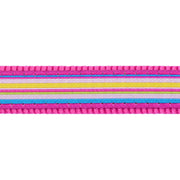 Red Dingo Stripe Dog Lead