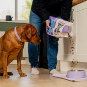 Pooch & Mutt Health and Digestion Grain Free Complete Dog Food