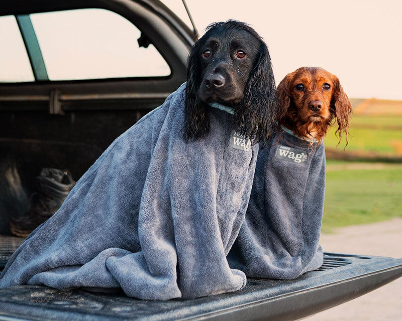 Henry Wag Drying Coat