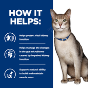 Hill's Prescription Diet k/d Kidney Care Dry Cat Food with Salmon