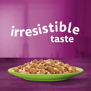 Whiskas 1+ Mixed Menu in Jelly