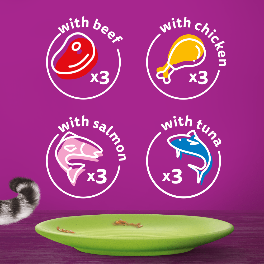 Whiskas 1+ Mixed Menu in Jelly