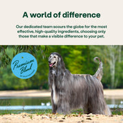 YuMOVE® Skin & Coat Care Itching for Dogs