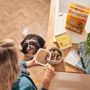 Forthglade Just Chicken Grain Free Complementary Wet Dog Food