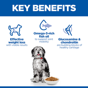 Hill's Science Plan Perfect Weight & Active Mobility Medium Adult Dry Dog Food 12kg