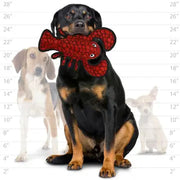 Tuffy Ocean Creatures Lobster Dog Toy