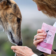The Innocent Hound Salmon Bites with Sweet Potato Dog Treats
