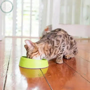 LickiMat OH Bowl™ Green for Dogs and Cats
