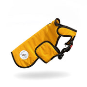 Marigold