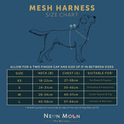 The Tod Mesh Harness