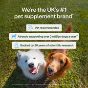YuMOVE® Skin & Coat Care Moulting for Adult Dogs