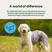 YuMOVE® Skin & Coat Care Moulting for Adult Dogs