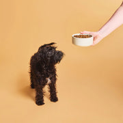 Calibra Dog Breeder Line Starter & Puppy Fresh Beef