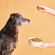 Calibra Expert Nutrition Light Dog Dry Food