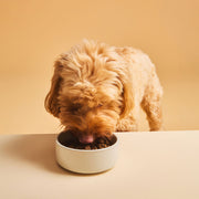 Calibra Expert Nutrition Neutered Dog Dry Food