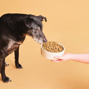 Calibra Life Adult Medium Chicken Dog Dry Food
