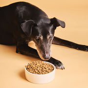 Calibra Life Senior Medium & Large Chicken Dog Dry Food