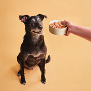 Calibra Verve Adult Salmon & Turkey Dog Wet Food