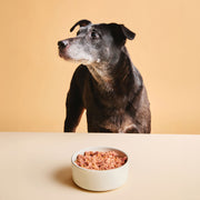 Calibra Verve Senior Turkey & Lamb Dog Wet Food