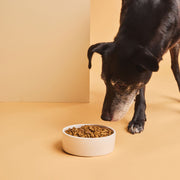 Calibra Verve Senior Medium & Large Chicken & Duck Dog Dry Food