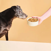 Calibra VD Dog Ultra-Hypoallergenic Insect