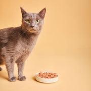 Calibra Veterinary Diets Cat Can Gastrointestinal Wet Food Cans