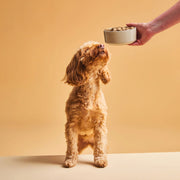 Calibra VD Dog Hypoallergenic Rabbit & Insect Cans