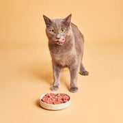 Calibra Life Sensitive Lamb Cat Wet Food