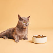 Calibra Life Adult Chicken Cat Dry Food