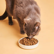 Calibra Life Adult Herring Cat Dry Food
