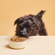 Calibra Premium Puppy & Junior Dog Dry Food