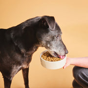 Calibra Premium Senior & Light Dog Dry Food