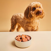 Calibra Premium Chicken & Beef Dog Wet Food