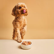 Calibra Premium Chicken & Liver Dog Wet Food