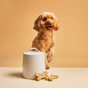 Calibra Joy Dog Chewy Beef & Yucca Bones