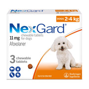 NexGard Chewable Tablets for Dogs