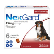 NexGard Chewable Tablets for Dogs
