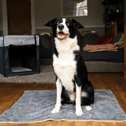 Henry Wag Microfibre Noodle Pet Mat