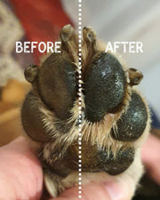Nilaqua Calming Paw & Nose Balm